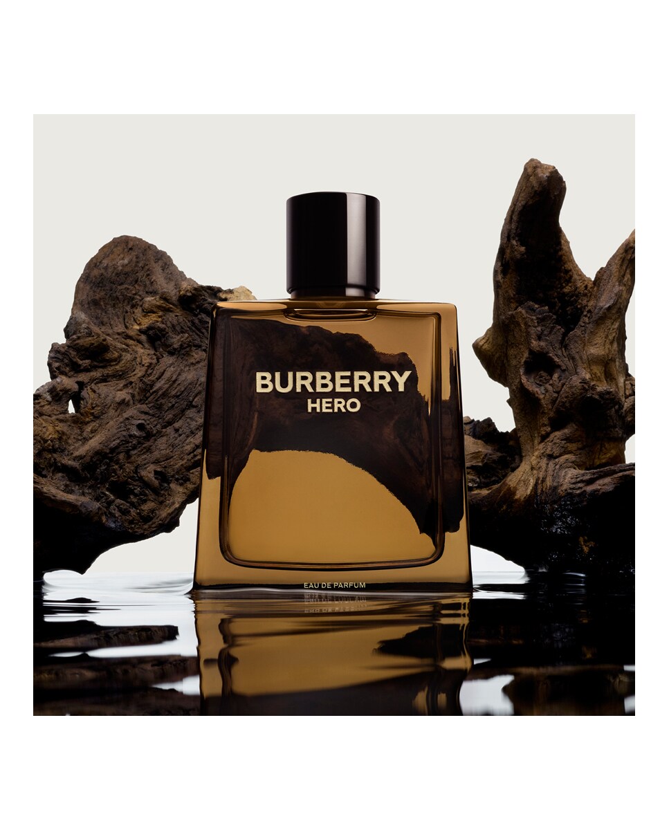 Eau de Parfum Hero 100 ml Burberry 4
