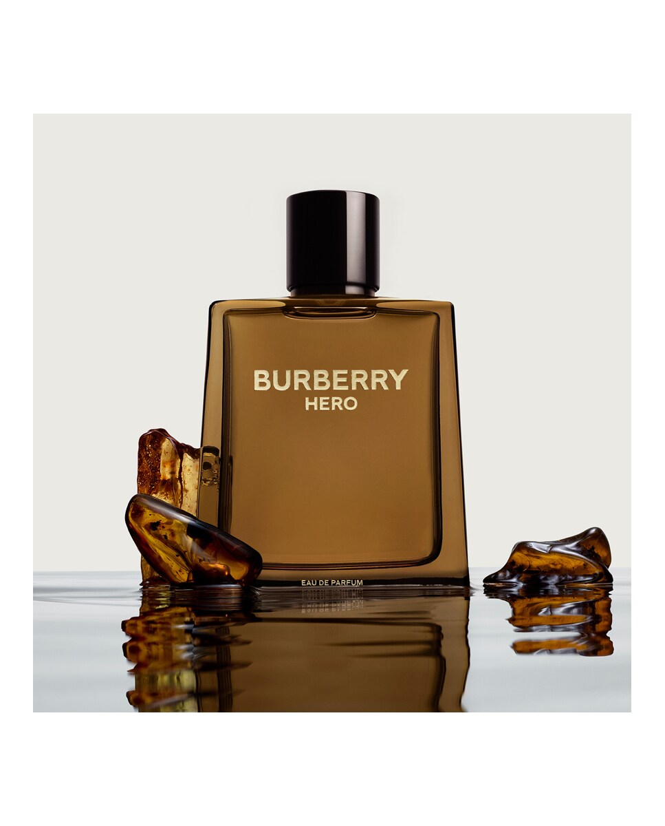 Eau de Parfum Hero 100 ml Burberry 5