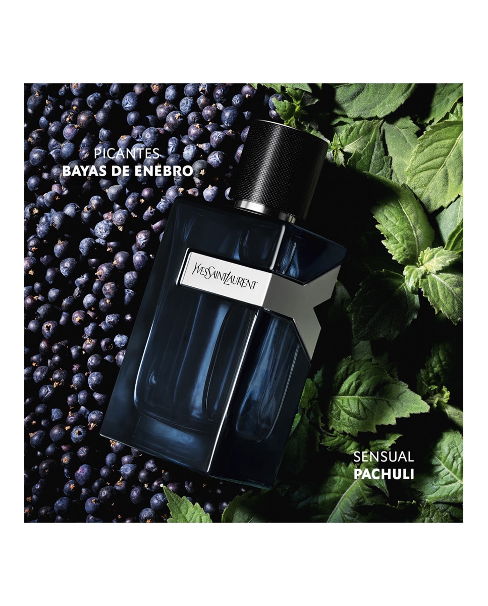 Eau De Parfum Intense Y Yves Saint Laurent - 60 ml 4