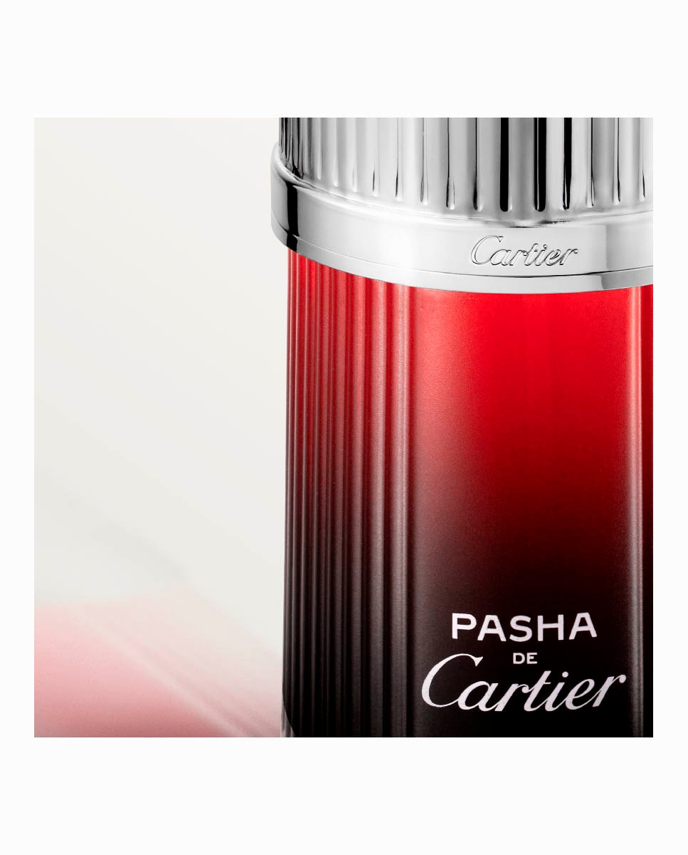 Eau De Toilette Pasha De Cartier Edition Noire Sport Cartier - 100 ml 3
