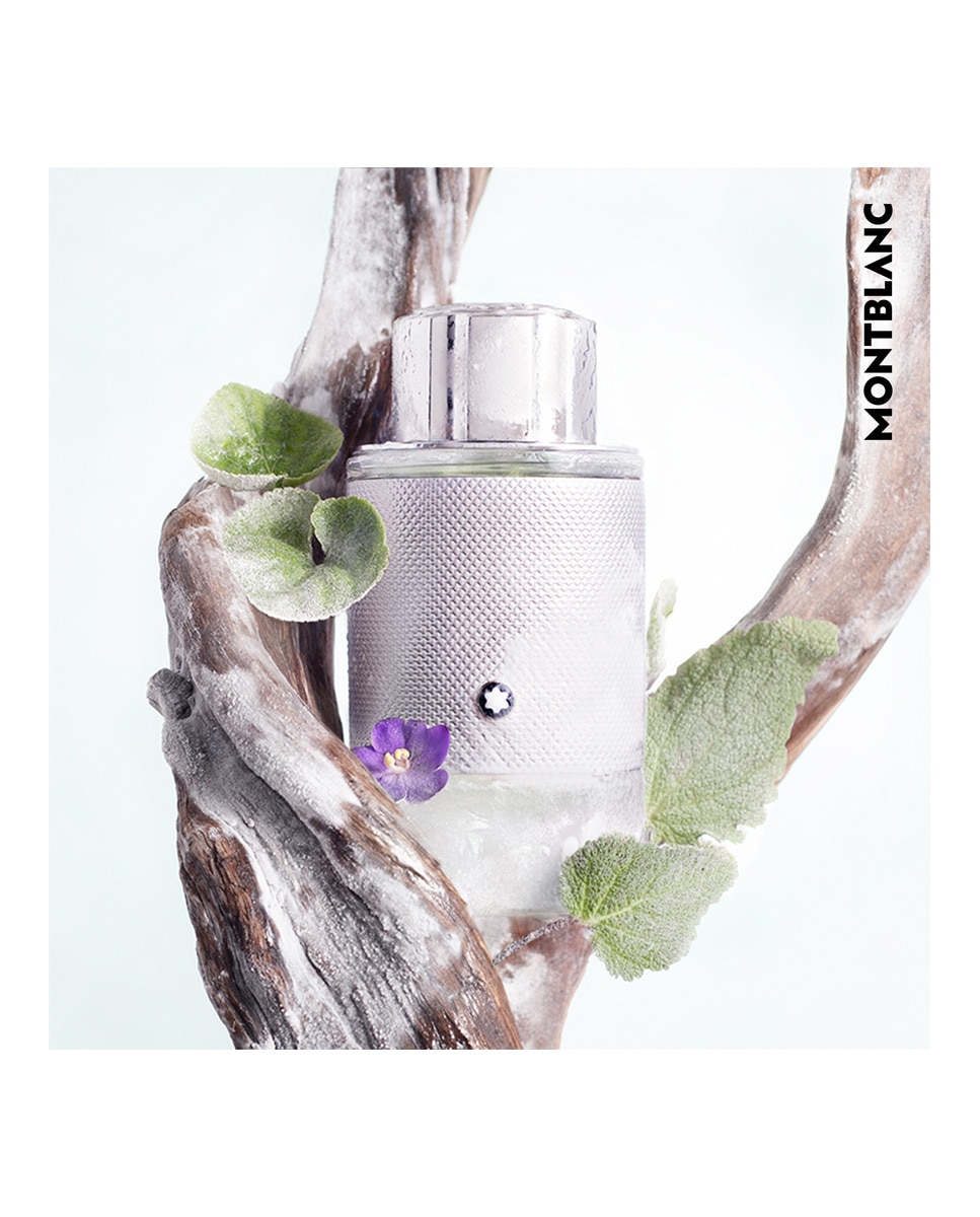 Eau de Parfum Explorer Platinum Montblanc - 60 ml 6