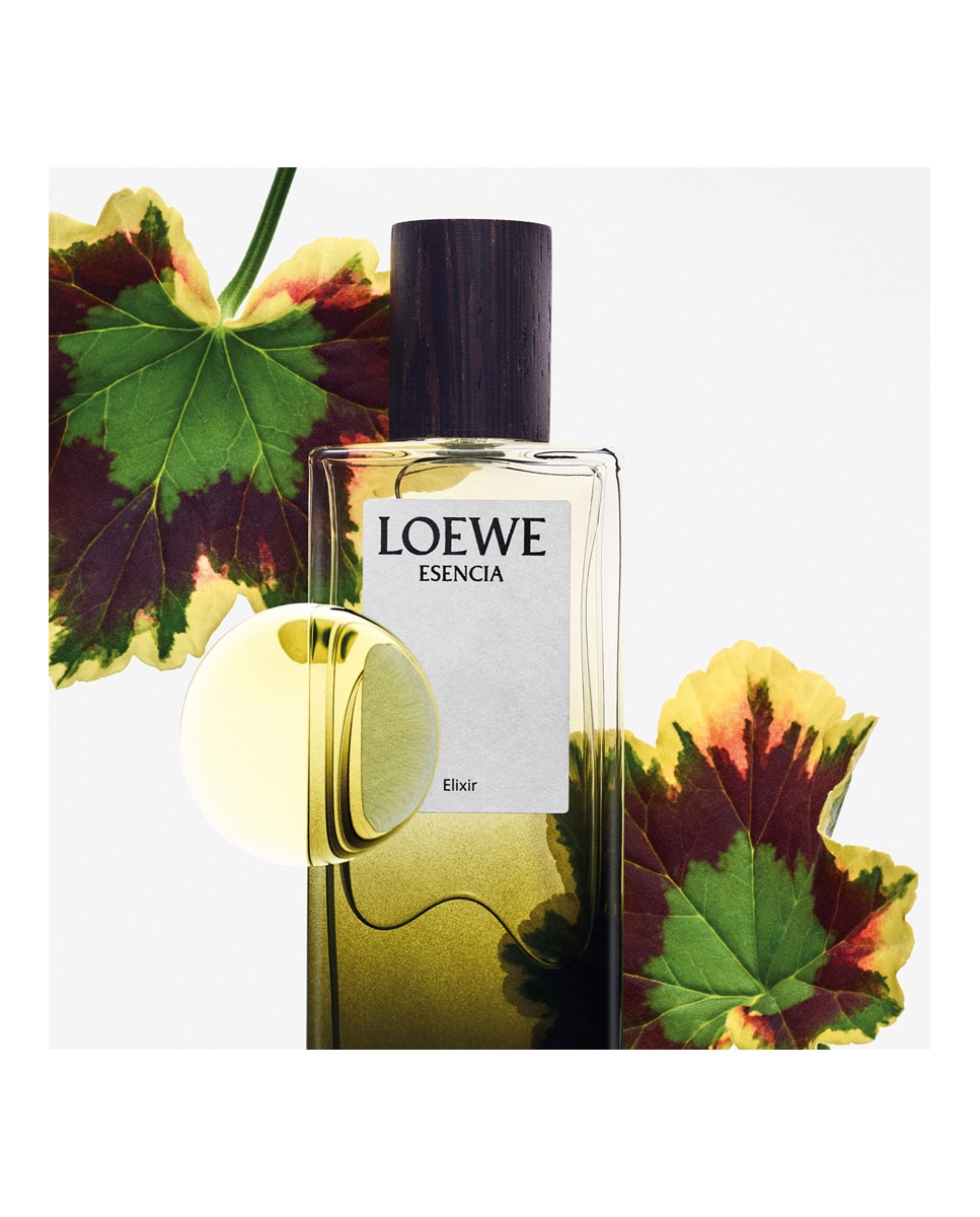 Eau de Parfum Esencia Elixir Loewe 50 ml · El Corte Inglés