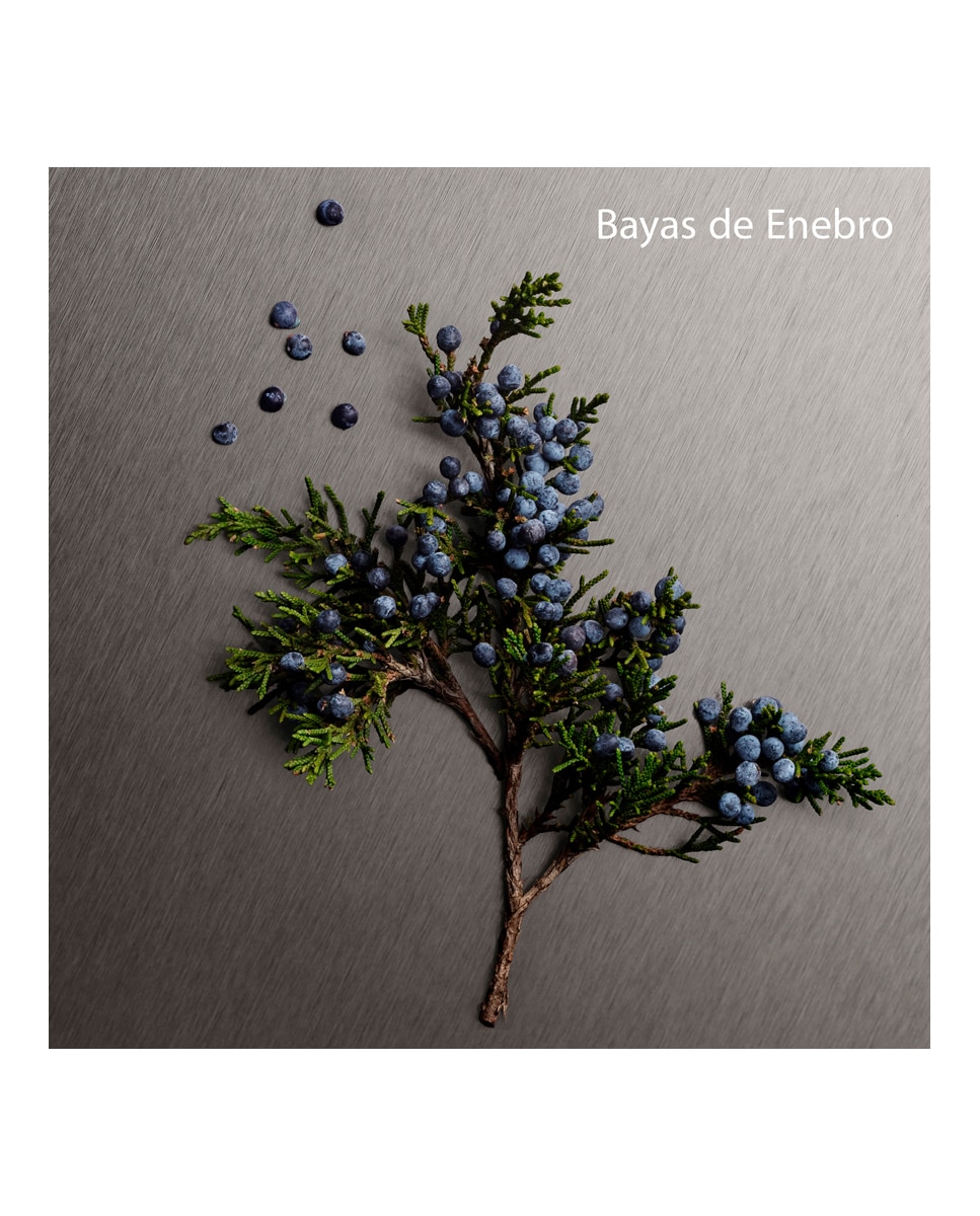 Thumbnail 3 de Calvin Klein Eternity Aromatic Essence perfume 50 ml