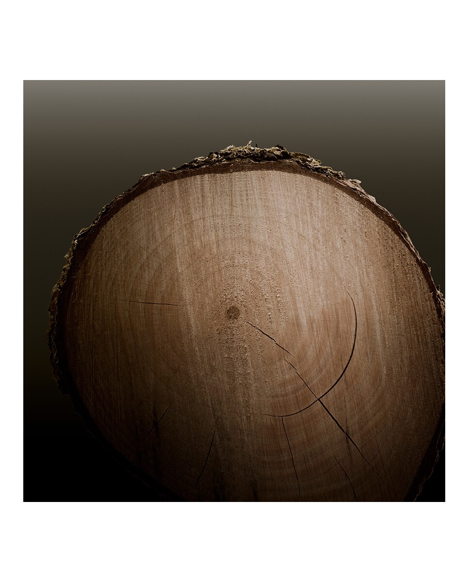 Eau de Parfum Hero 100 ml Burberry 6