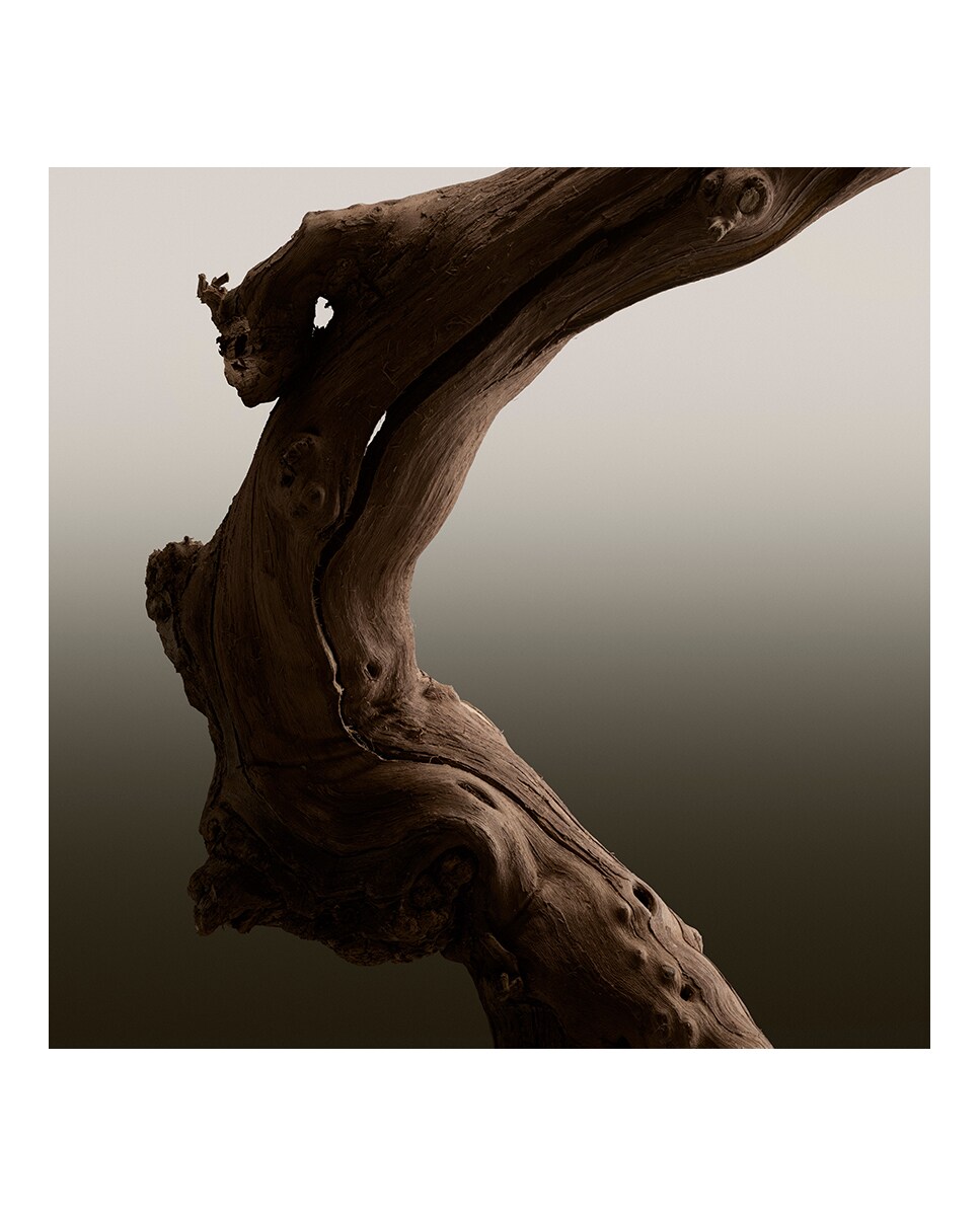 Eau de Parfum Hero 100 ml Burberry 7