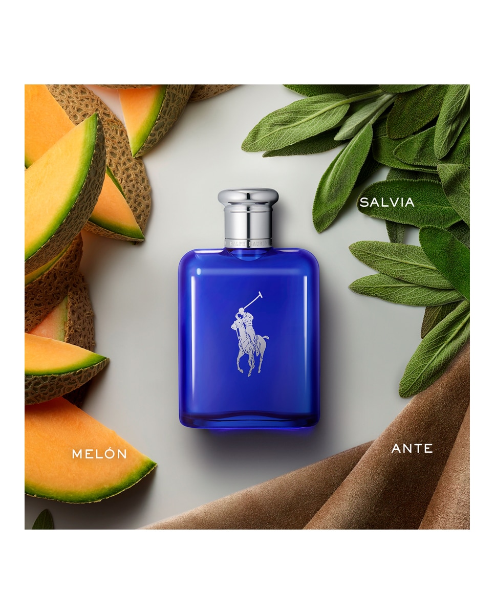 Eau de Toilette Polo Blue Fougère Ralph Lauren - 200 ml 4