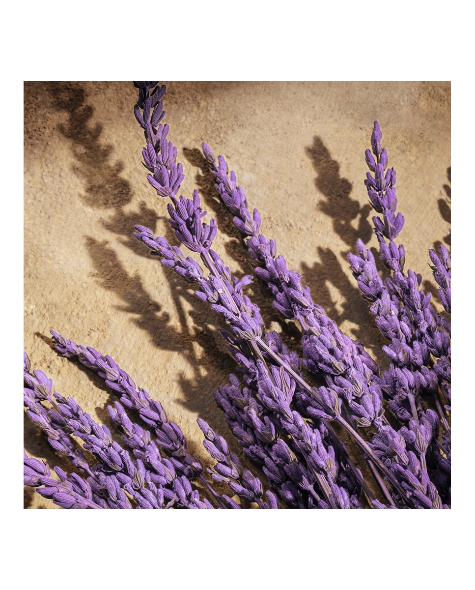 Thumbnail 4 de Dolce & Gabbana Devotion For Men perfume 50 ml