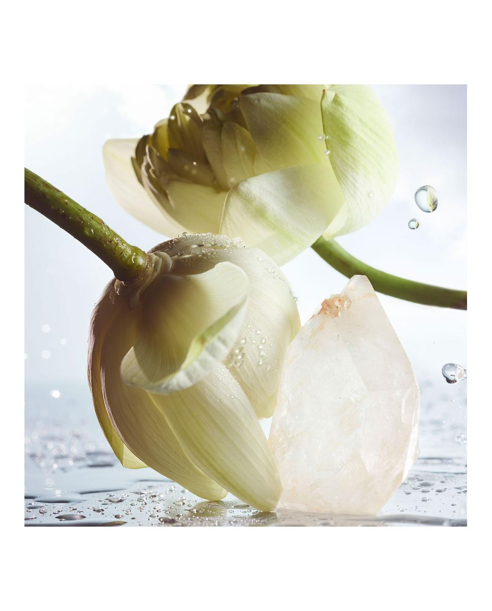 Imagen 4 de Eau de Parfum Man Rain Essence Bvlgari - 100 ml