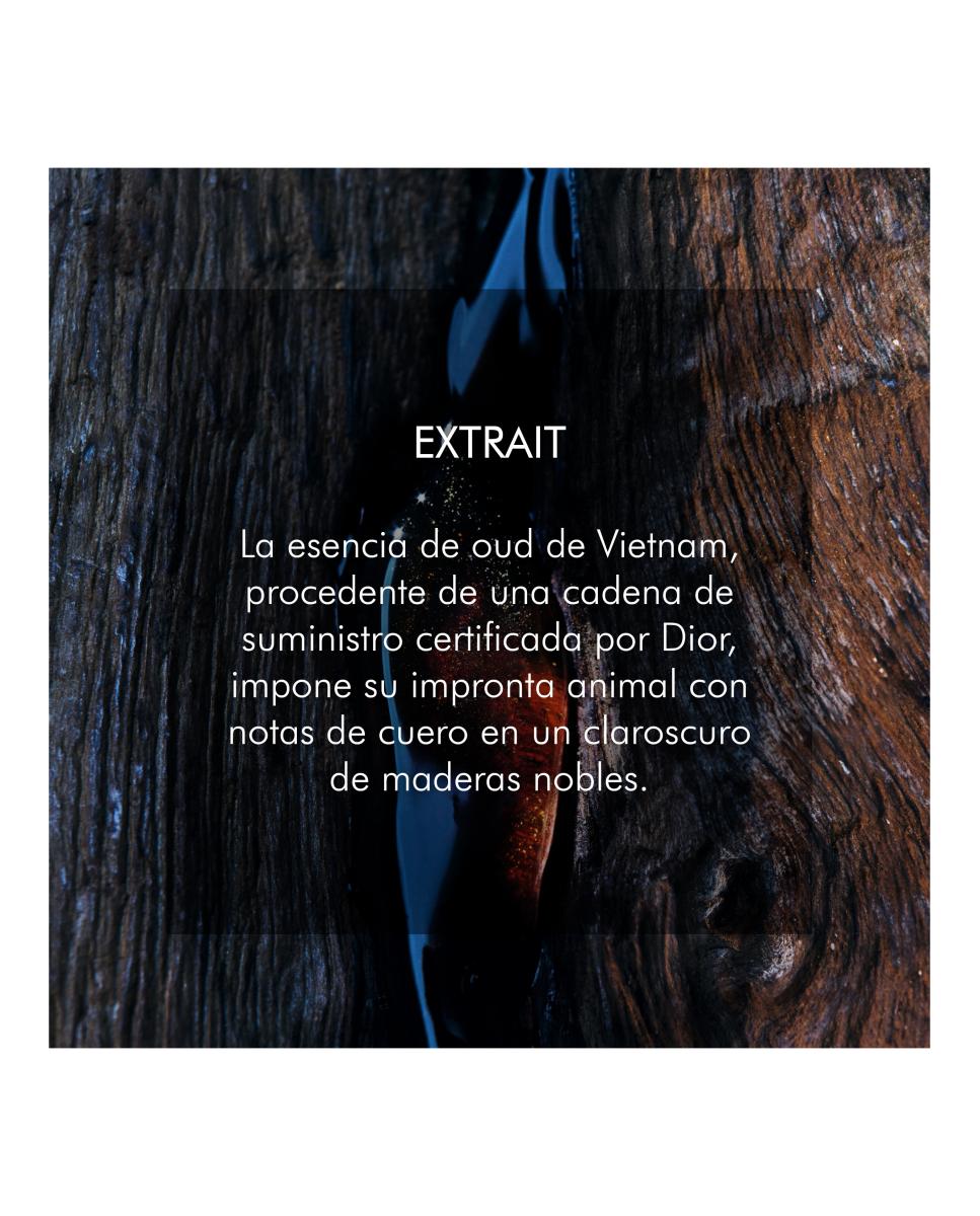 Sauvage Extrait Extracto de perfume - Notas amaderadas - 50 ml 4