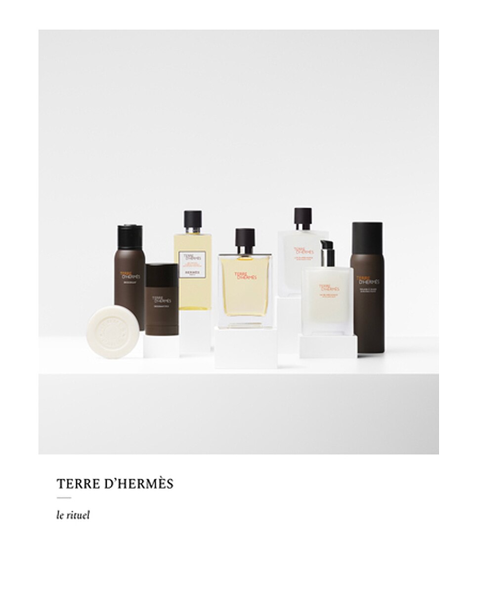Loción para Después del Afeitado Terre d'Hermès Hermès - 100 ml 2