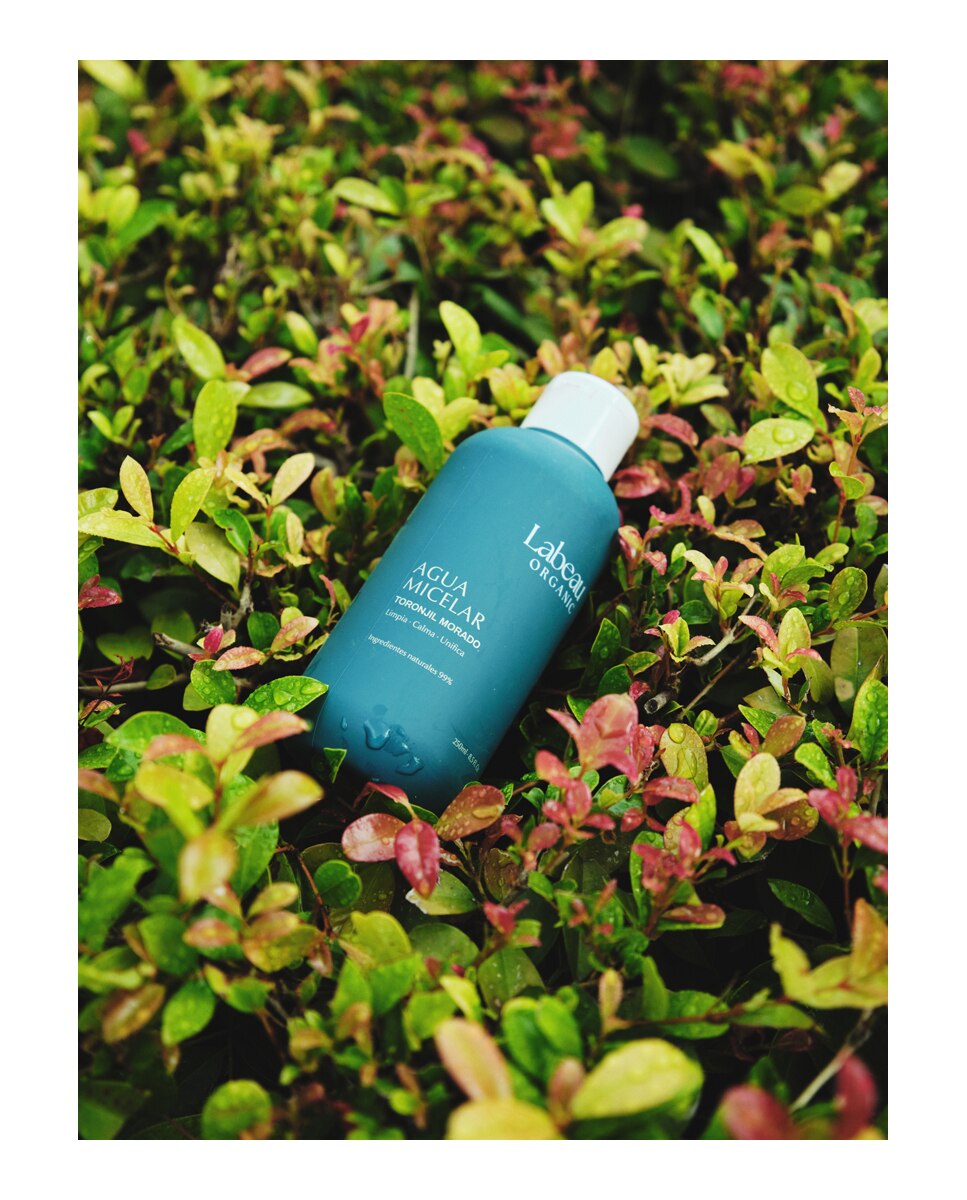 Limpiadora con Aloe y Jengibre Labeau Organic - 250 ml 2