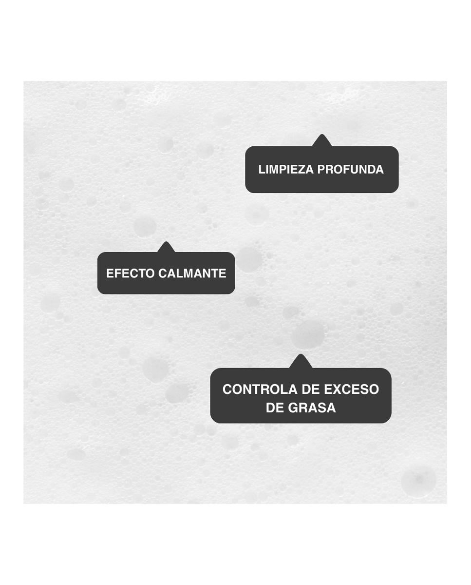 Espuma Limpiadora Matificante Limpiadora 250 Ml Elisabeth Álvarez Cosmetics 2