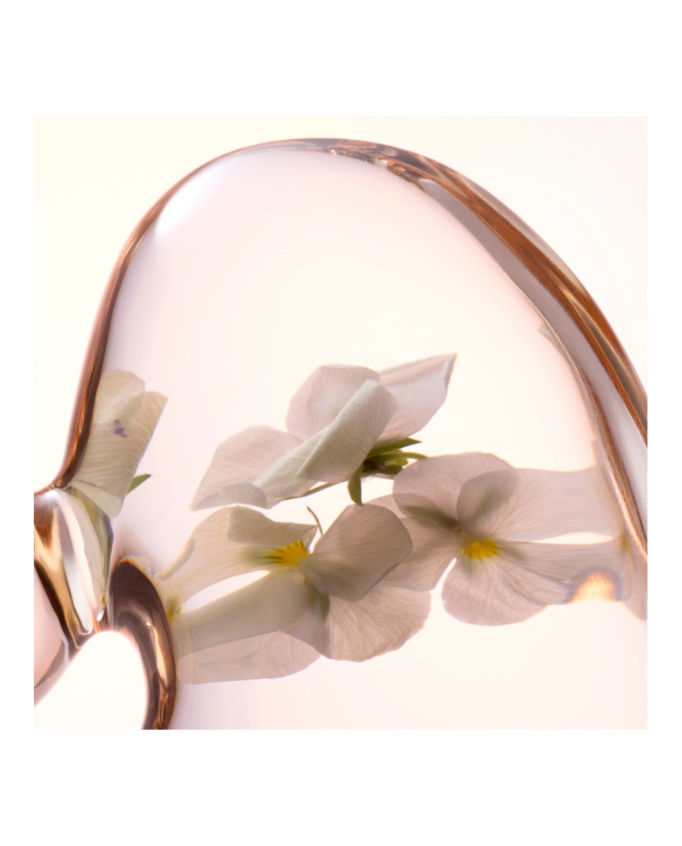 Tónico Softening Perfecting Toner 400 ml Lancaster - 400 ml 4