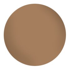 Bronze 06