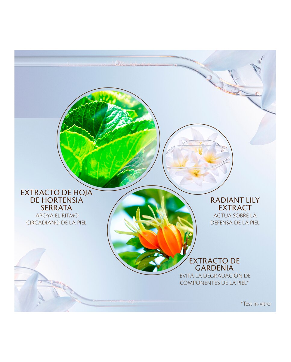 Crema Facial Hidratante Advanced Protective Clé De Peau Beaute - 50 g 5