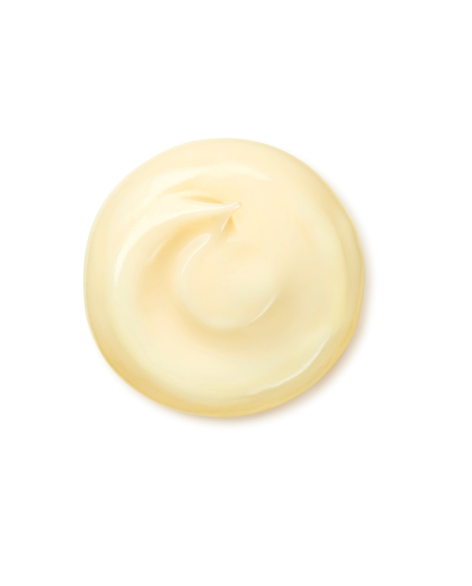 Crema Antiarrugas Benefiance Wrinkle Smoothing Cream Enriched 50 Shiseido - 50 ml 3