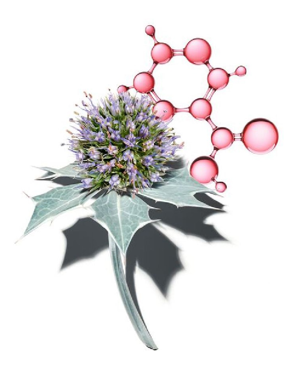 Thumbnail 2 de Clarins Crema Multi Activa Día 50 ml crema piel luminosidad