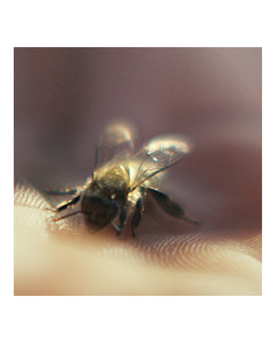 Bálsamo Reparador Abeille Royale Guerlain - 30 ml 3