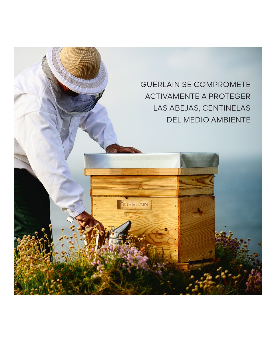 Aceite en Bálsamo de Juventud Reparación Intensa Abeille Royale Guerlain - 80 ml 7