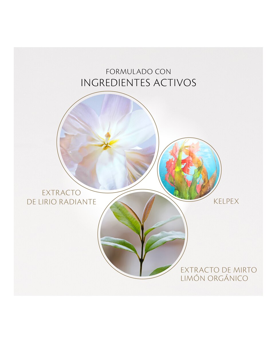 Recarga Sérum Key Radiance Care 75 ml Clé de Peau Beauté - 30 ml 6
