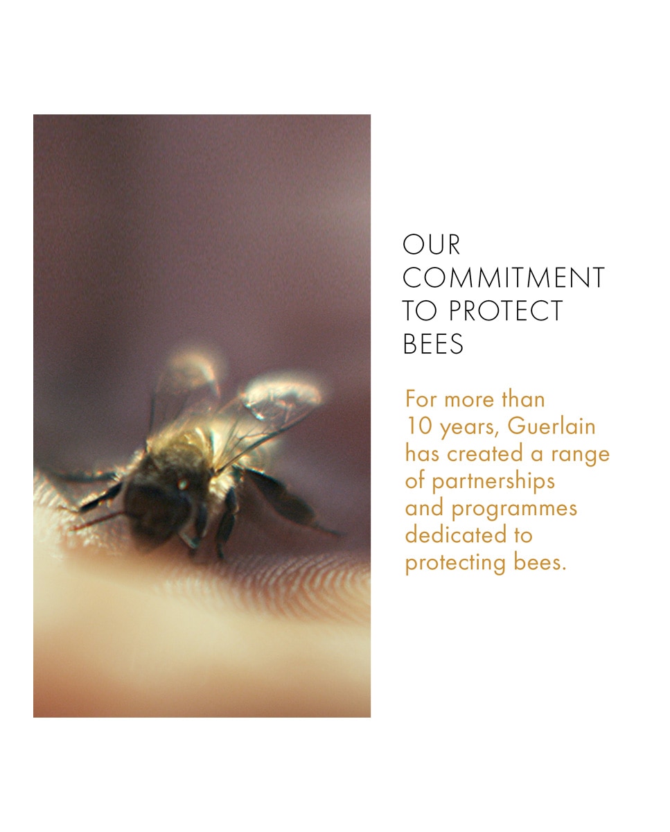 Gel Higiene y Suavidad de Manos Hidratante Abeille Royale Guerlain - 40 ml 7
