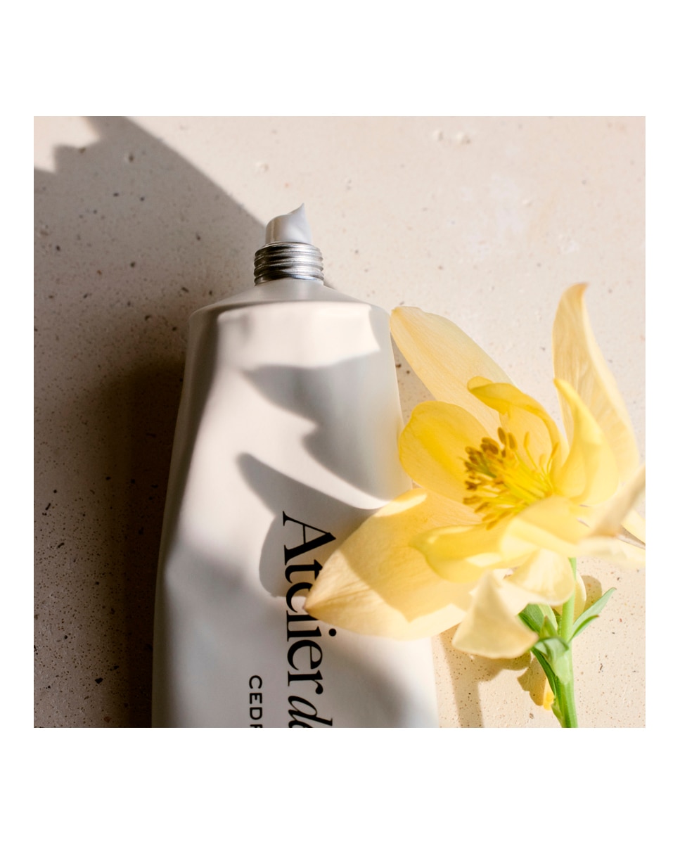 Imagen 4 de Crema de Manos Atelier des Fleurs Cedrus 50 ml Chloé - 50 ml