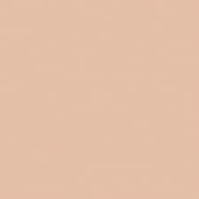 Warm Beige 103