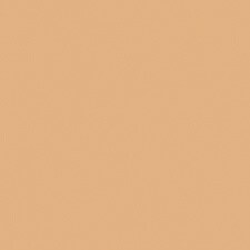 Amber Beige 204.5