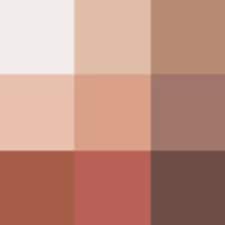 001 Warm Neutrals 001 Warm Neutrals