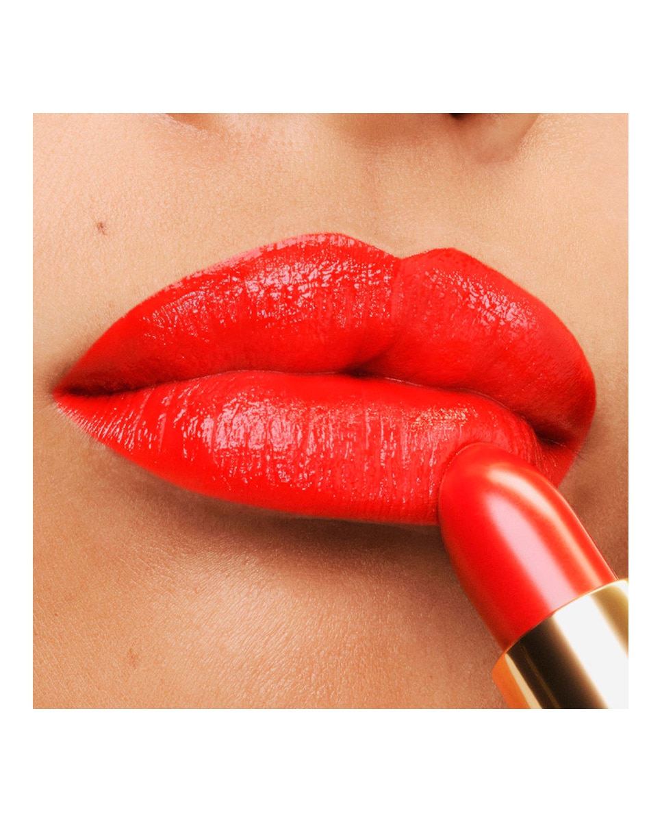 Barra de labios Runway Lip Color Tom Ford - WILD GINGER 3,5 g WILD GINGER-3