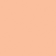 12 Sunny Ivory