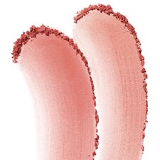 Plum Flower 101