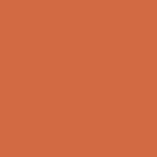 TAJ MAHAL - 955