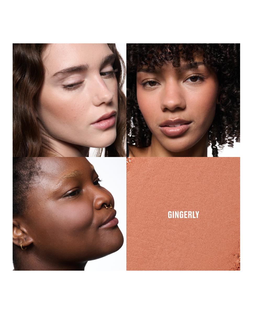 Colorete Skinfinish Colourstruck Blush MAC - GINGERLY GINGERLY-4
