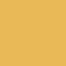 OCHRE OCHRE