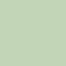 MINT MINT