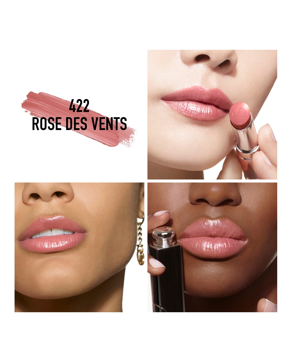 Dior Addict - barra de labios brillante - 90 % de ingredientes de origen natural - recargable - 422 Rose des Vents 422 Rose des Vents-3