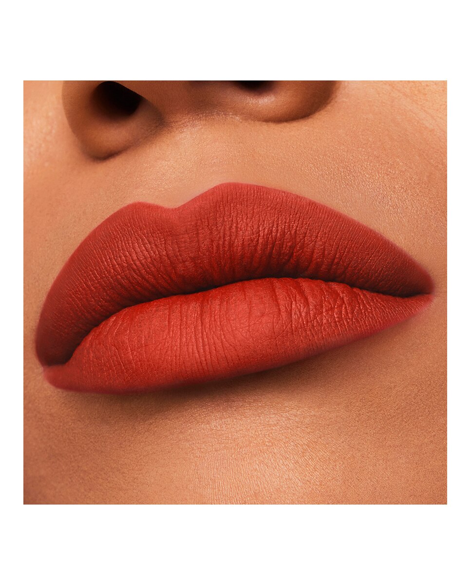 Barra de labios Mate Pure Color Estée Lauder - Captivated Captivated-4