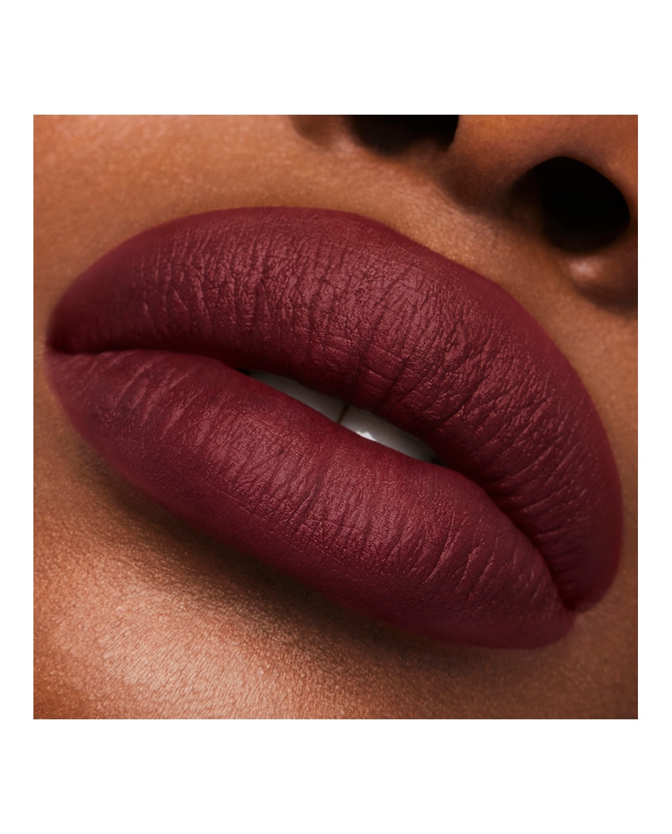 Barra de labios Mate Pure Color Estée Lauder - After Hours After Hours-5