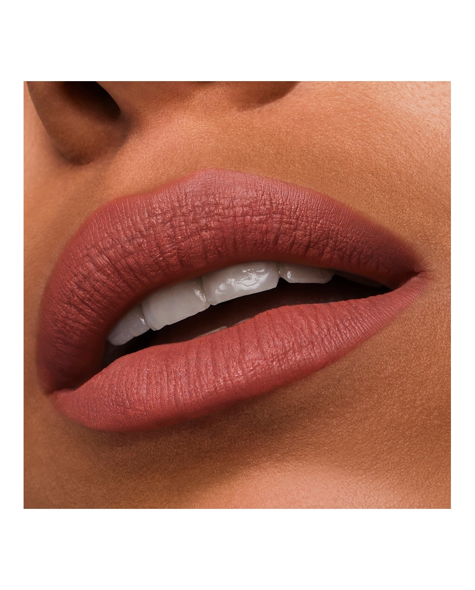 Barra de labios Mate Pure Color Estée Lauder - In Control In Control-2
