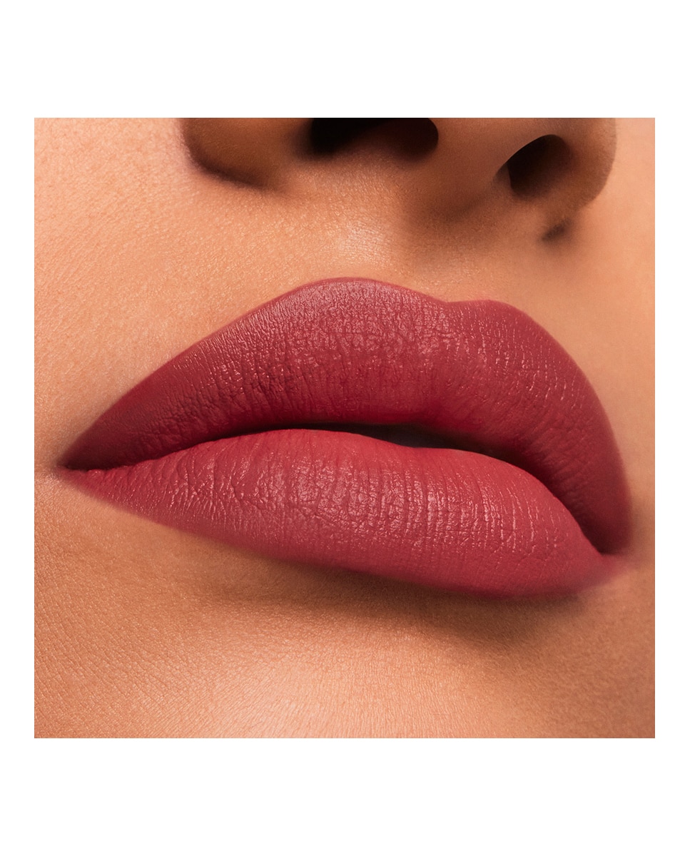 Barra de labios Mate Pure Color Estée Lauder - Rebellious Rose Rebellious Rose-2