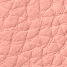 LE-NUDE