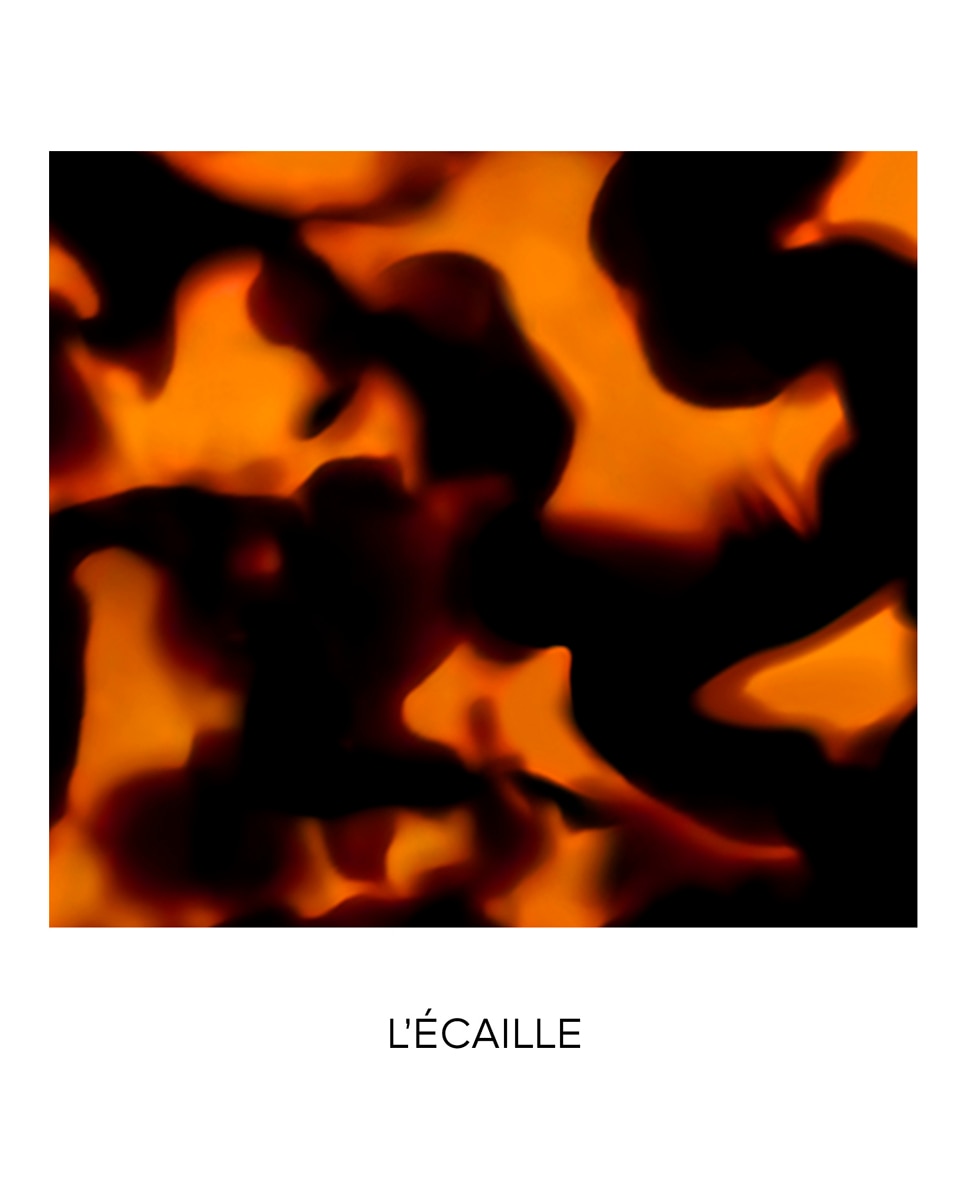 Imagen 3 de Carcasa labial Rouge G Guerlain - L-ECAILLE L-ECAILLE