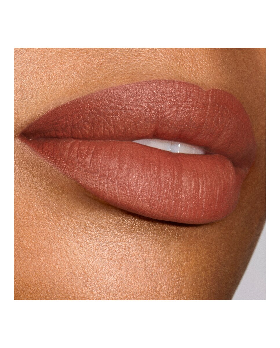 Barra De Labios Pure Color Explicit Silk Mate Estée Lauder - LS-301 - Smokescreen 7 g LS-301 - Smokescreen-3