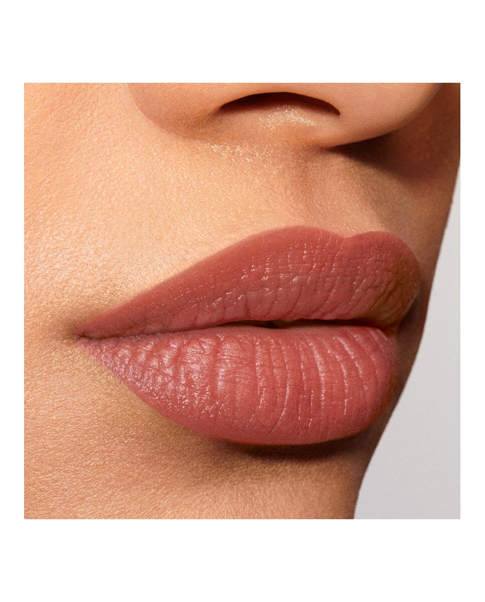 Barra De Labios Pure Color Explicit Silk Mate Estée Lauder - LS-101 - Static 7 g LS-101 - Static-3