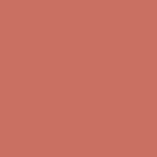 47 Beige Sanguine