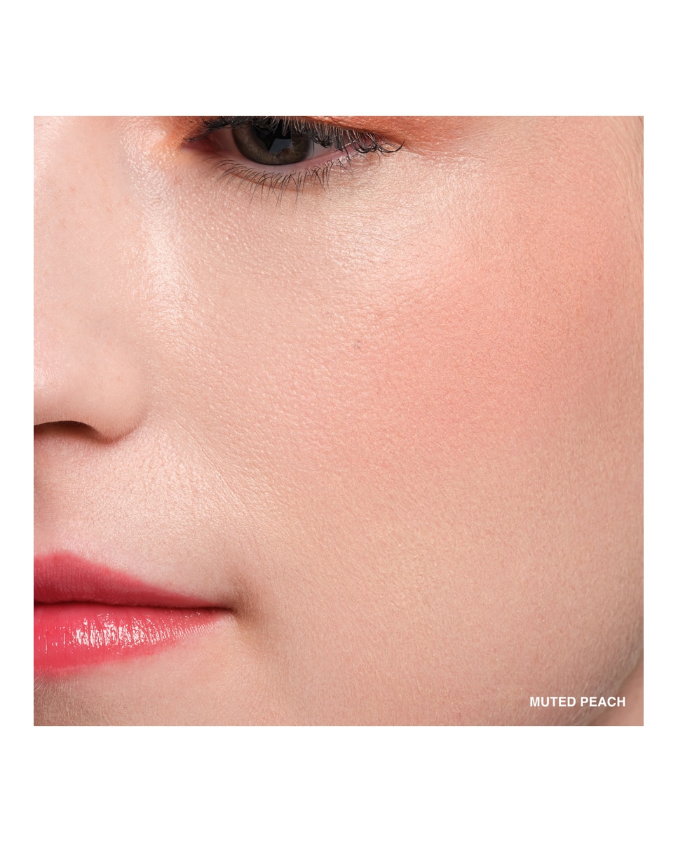 Imagen 3 de Colorete Rouge Velvet Matte Bobbi Brown - Rose Rose