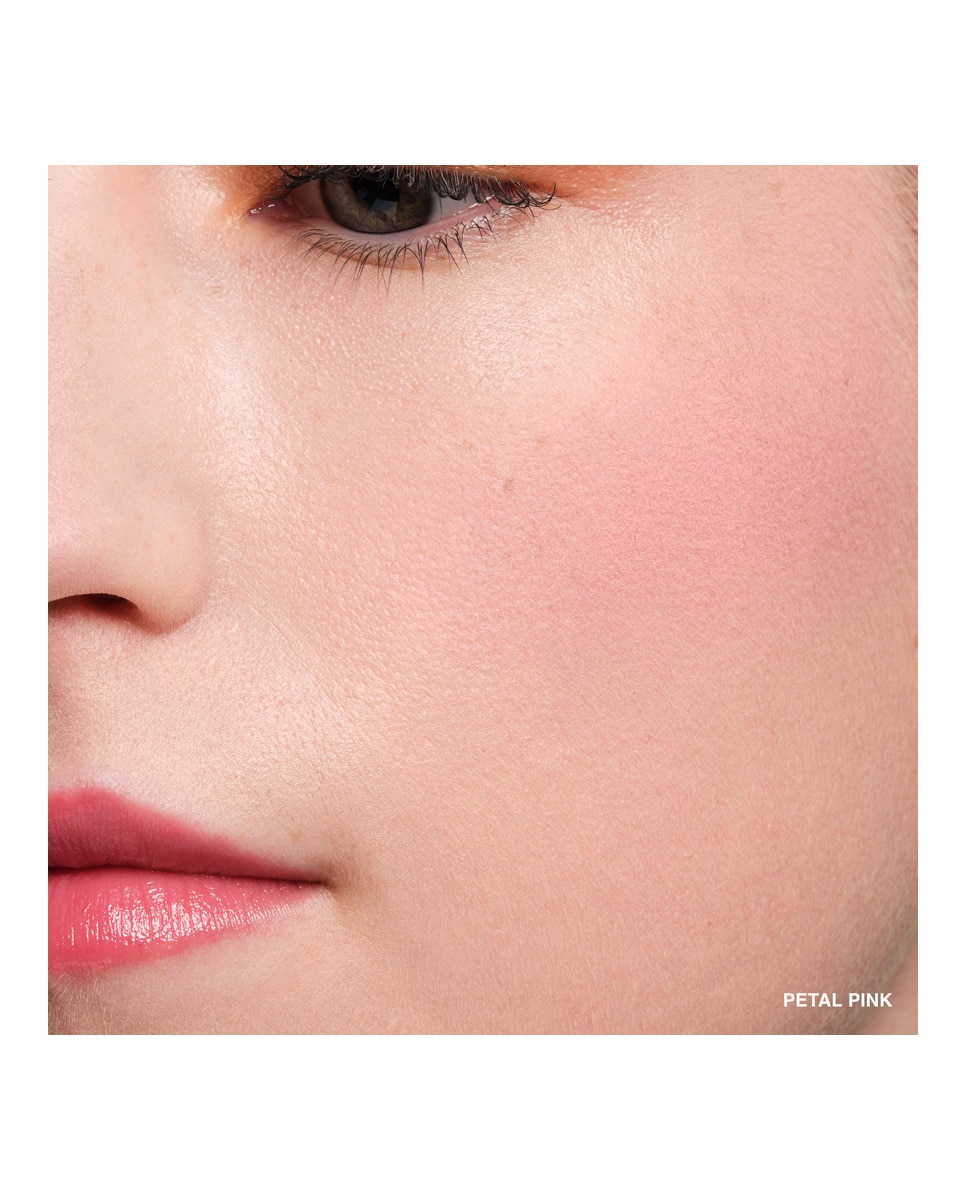 Imagen 3 de Colorete Rouge Velvet Matte Bobbi Brown - Petal Petal