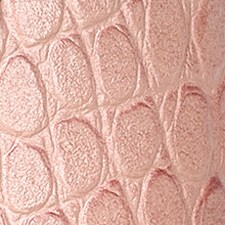 Rosy Nude