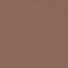 Iconic Nude Iconic Nude